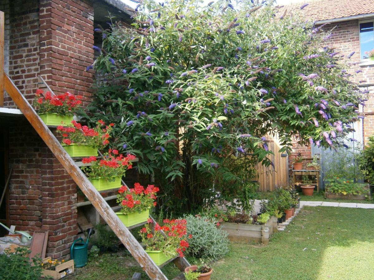 Bed and Breakfast Aux Sources de L'Ancre à Miraumont Extérieur photo